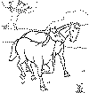 horses10.gif (9971 bytes)