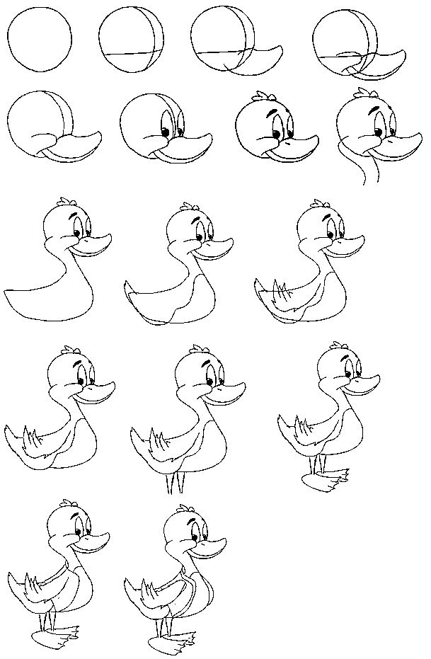 duck