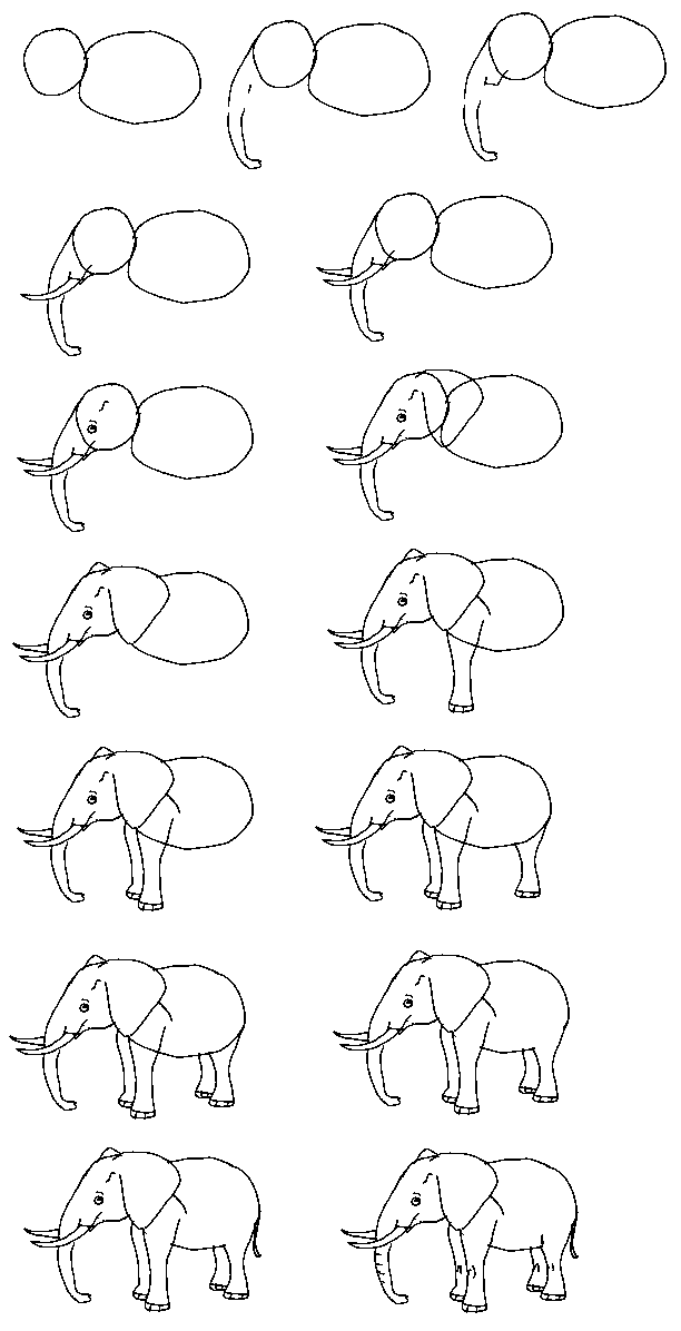 How+to+draw+elephants+step+by+step