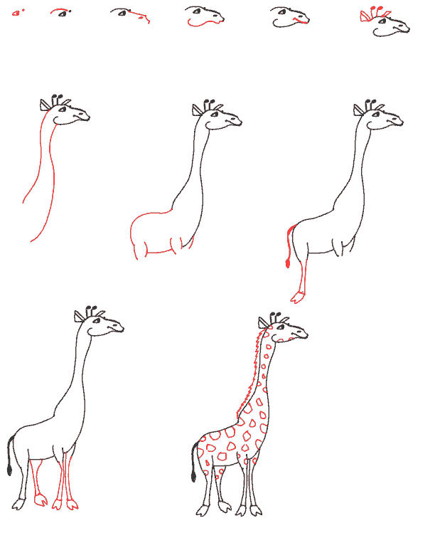 giraffe