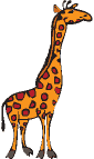 giraffe