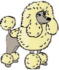 poodle