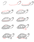 turtle