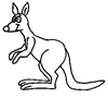 kangaroo